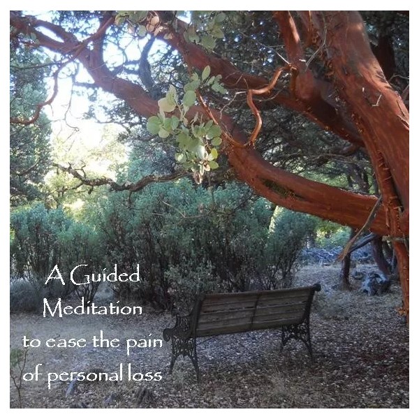 MindStyle A Guided Meditation to Ease the Pain of Personal