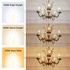 SHINESTAR 12-Pack Dimmable E12 LED Candelabra Bulbs 60W Equivalent 5000K