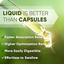 Pine Bark Alcohol-Free Liquid Extract, Wildcrafted Pine Bark (Pinus strobus) Dried Bark (4 FL OZ)