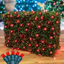 Novelty Lights 4x6 Net Lights, 100 Red LEDs with 4 Inch Spacing, 5mm Wide Angle Bulbs on Green Wire, Connectable End to End, Outdoor Weather Resistant Hedge and Bush Lighting