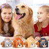 Fainne 24 Pcs Dog Party Favors Boxes Puppy Cat Treat