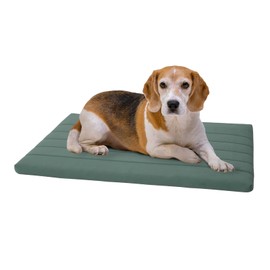 BALANCE Dog Crate Bed, Orthopedic Dog Bed Pad with Waterproof Liner, Washable Crate Foam Pet Mat for Large, Medium, Puppy Dogs Breeds, Mint Leaf, 36“x23”x1.6“