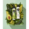 Organic Shop Repairing Shampoo for Damaged Hair Avocado and Olive,