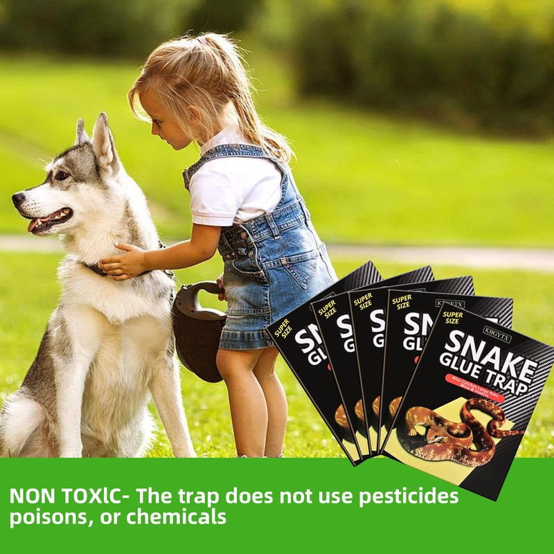 4 Pack 10" x 16" Large Snake Glue Traps with