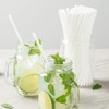Basic Nature 8.3 Inch Compostable Straws, 100 Disposable Straws -