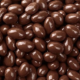 Bayside Candy Dark Chocolate Collection Dark Chocolate Covered Almonds (1LB)