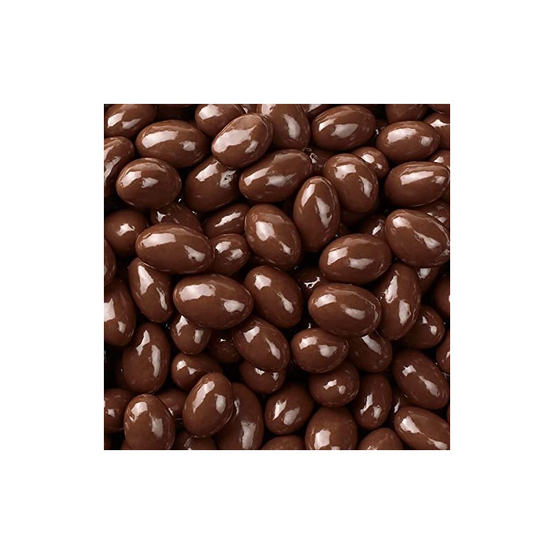 Bayside Candy Dark Chocolate Collection Dark Chocolate Covered Almonds (1LB)
