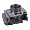 OUMURS Top End Rebuild Kit Cylinder Piston for 2005-2011 Honda