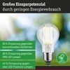 Paulmann 29222 LED Eco-Line AGL E27 1521lm 7.2W 3000K Clear