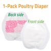 Yesito Adjustable Chicken Harness Diaper (5.4ft Leash) – Breathable &