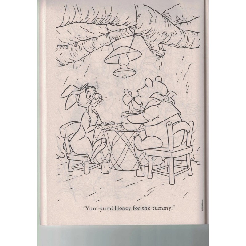 Winnie the Pooth Hide and Seek Coloring Book, ~96 pages,