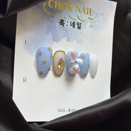 CHOK: 01 Rabbit in Wonderland Handmade Nail - Coffin / CHOK : 01 이상한 나라의 토끼 수제네일 - 코핀