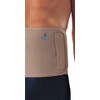 Waist Belt Support 1060