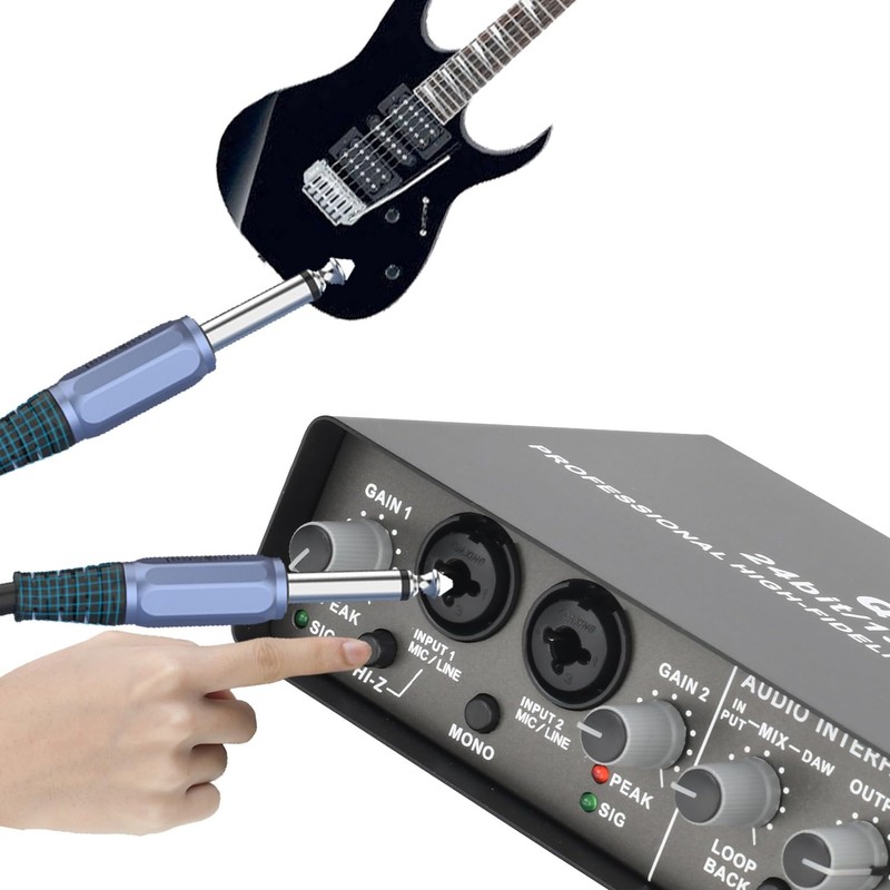 Roarrter Professional 24Bit 192KHz Audio Interface 2 Input Sound Card