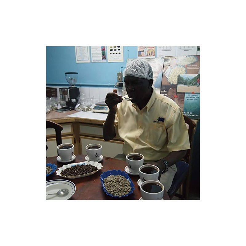 Matsuya Coffee Raw Beans Jamaica Blue Mountain No.1 (7.1 oz