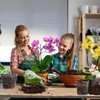 Omitgoter Organic Orchid Potting Mix 1qt, Mixture of Orchid Bark
