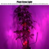 10W USB Powered LED Plant Lamps Full Spectrum ClipOn Grow