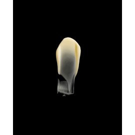 Aesop Resurrection Aromatique Hand Balm 500mL | Citrus Woody Scent, Deep Nourishment