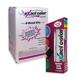 Sashco eXact color Tintable Caulk DIY Pack, 9.5 Fl Oz (Pack of 6) - Packaging May Vary