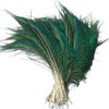 Sowder Natural Peacock Sword Feathers 10-15 inches for Wedding Home