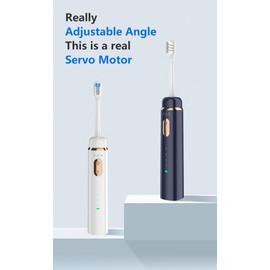 Shiwala Electric Toothbrush with Gingival Brush Head, 3 Modes, Rechargeable