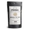 Pranature Melena De León Polvo Puro 100g