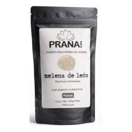 Pranature Melena De León Polvo Puro 100g                                                                                                              