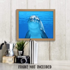Young Dolphin Saying Hi!- 8 x 10" Print Wall Art- Ready to Frame- Home Décor, Nursery Décor & Wall Prints for Animal & Sea Themes & Children's Bedroom Wall Decor. Adorable & Intelligent.