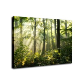 Green Forest Wall Art Tree Pictures of Nature Art Wall Decor Landscape Morning Sunlight Landscape Canvas Wall Art Bathroom Kitchen Bedroom Decorations (Green Forest, 12x16 inch)