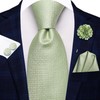 Hi-Tie Ties for Men Tie and Lapel Pin Set Paisley