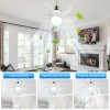 TSUINZ LED Ceiling Light Fan W/ Remote Adjustable Wind &