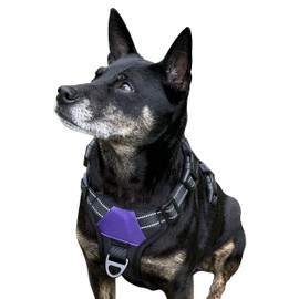 The North Star Dog Harness™ - Comfortable, Fully Adjustable, Designed to Reduce Pulling, Escape Resistant, Durable, fastens Easily and securely with Airtag Holder (Black/Purple, L)