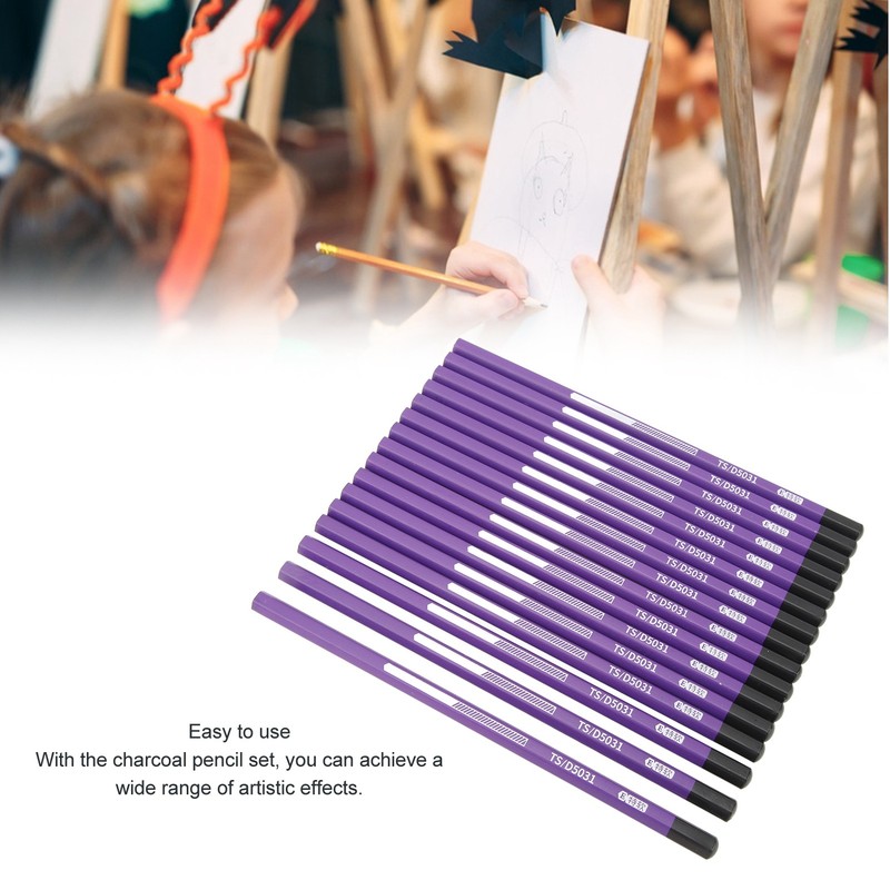 16pcs Charcoal Pencil Drawing Sketching Shading Pencils for Beginners Professional