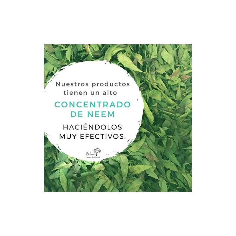 Shampoo Neem anticaida 350ml Tonico capilar ortiga 60ml