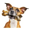 Pet Qwerks BarkBone Stick - For Aggressive Chewers
