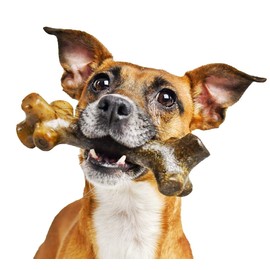 Pet Qwerks BarkBone Stick - For Aggressive Chewers