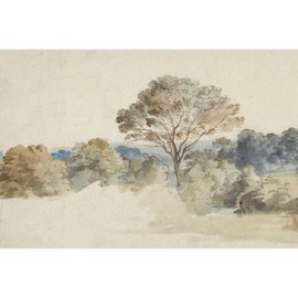 MUDECOR Wall Mural Watercolor Landscape Serene Tree and Forest Scene in Soft Pastel Tones Removable Self-Adhesive Wallpaper Wall Decoration for Bedroom Living Room - 96"x144"