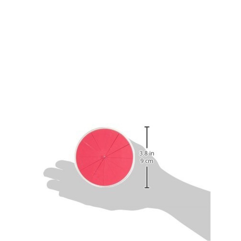 DIDAX Educational Resources 2-496 Fraction Circles, Pink