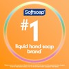 Softsoap Softsoap Antibacterial Liquid Hand Soap, Gentle Clean, Sparkling Pear