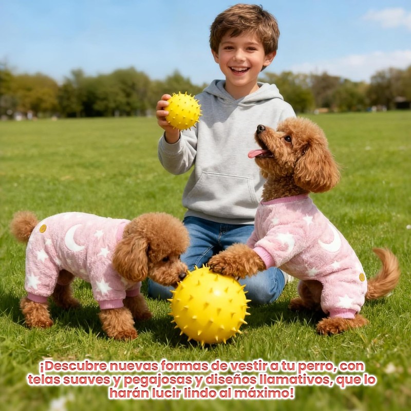 Sueter para Perros Chicos, Ropa Luminosa para Perros, Ropa para