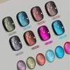 Glitter Nail Art Magazine Nail Art Hologram / 글리터 네일아트 자석네일아트 홀로그램