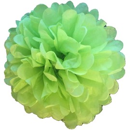Pack of 10 Tissue Paper Pom pom Flower Ball Pompom Party Decoration Indoor Outdoor (Spring Green, 6" (15 cm))