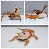 HAICHEN TEC Lizard Crown Reptile Clothes Accessories for Bearded Dragons