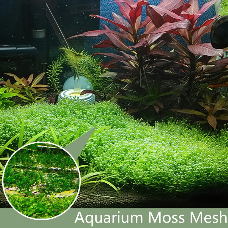 10 PCS Aquarium Moss Mesh, 304 Stainless Steel, 8 *