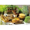 Tatsumiya Garden 303742 Magewappa Single Tier Lunch Box, Large, Antibacterial,