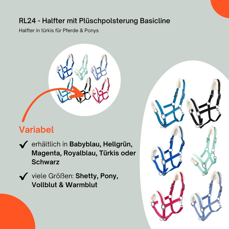 RL24 - Headcollar with Plush Padding Basicline | Halter for