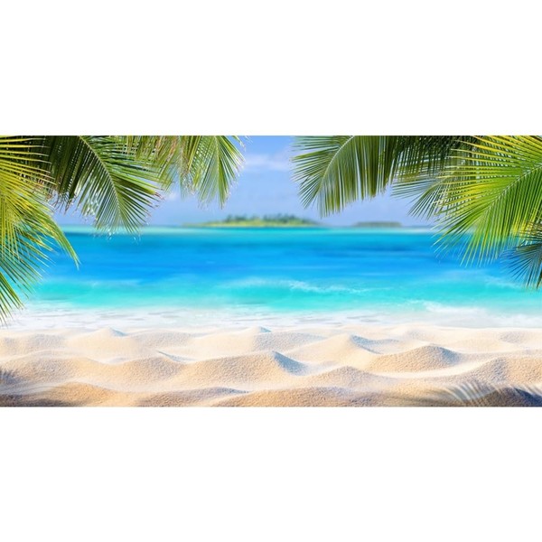 Renaiss 2.5 x 1.2 m Hawaii Ocean Sand Beach Background