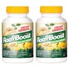 RootBoost 100508075 Rooting Hormone Powder, 2 oz (Тwo Рack)