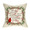 Softxpp Winter Cardinal Decorative Throw Pillow Cover, Christmas Red Birds