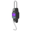 Multifunctional Crane Scale Portable Express Scale APP Charging 300kg/50g Alarm
